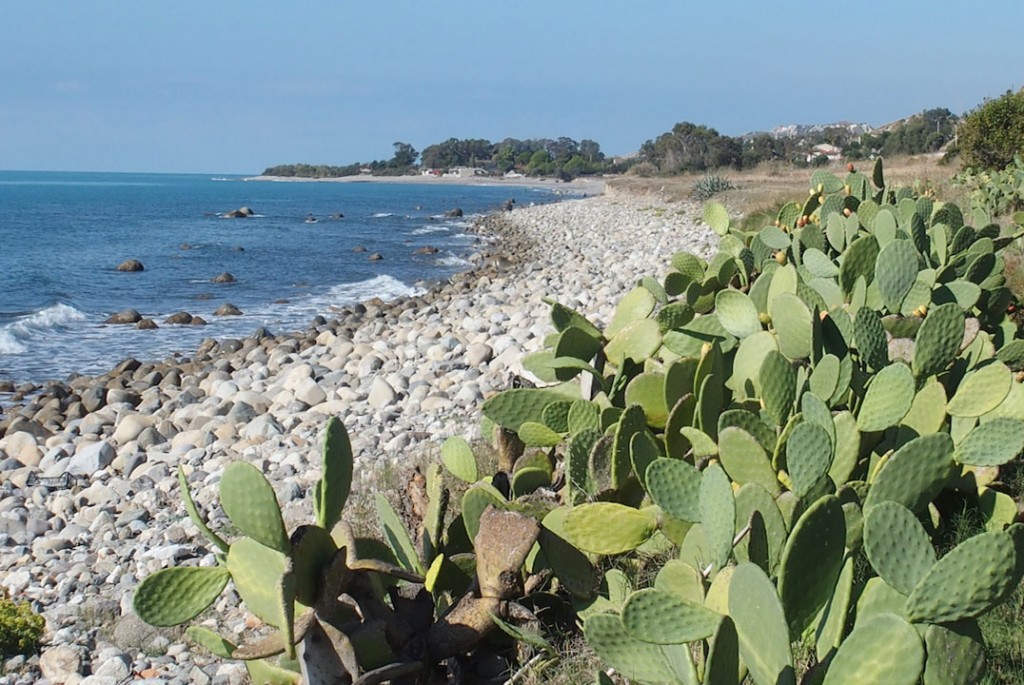 Spiaggia di Palizzi Marina